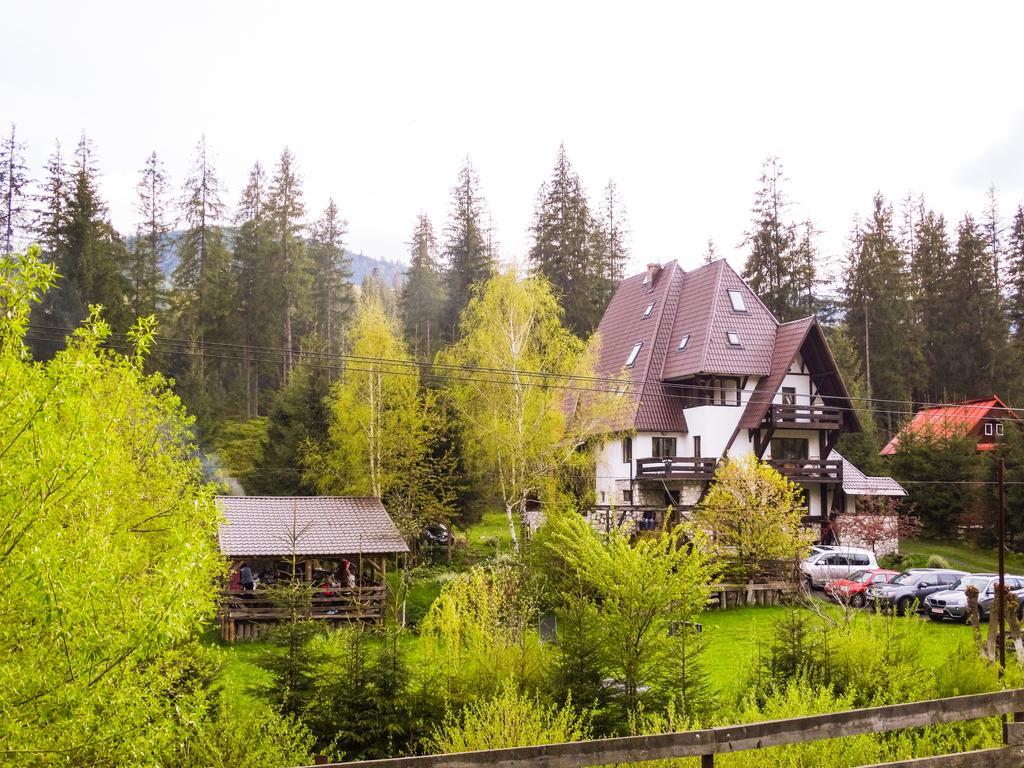 Pensiunea Casa Noastra Arieşeni Buitenkant foto