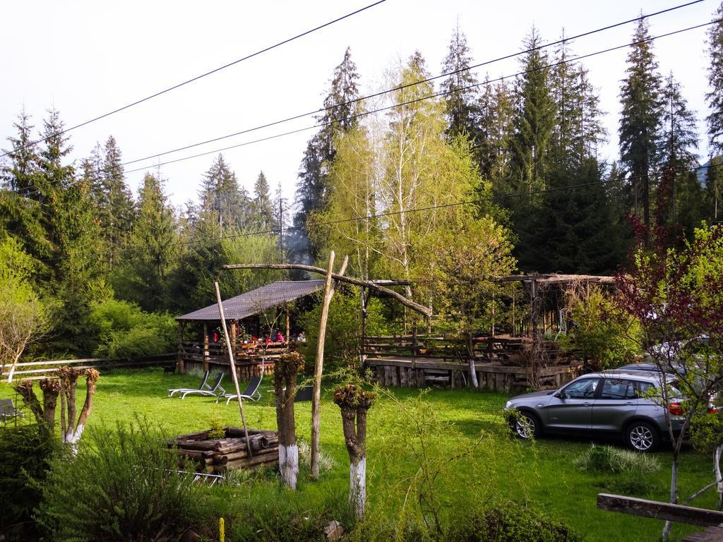 Pensiunea Casa Noastra Arieşeni Buitenkant foto