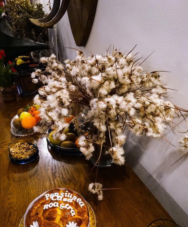 Pensiunea Casa Noastra Arieşeni Buitenkant foto