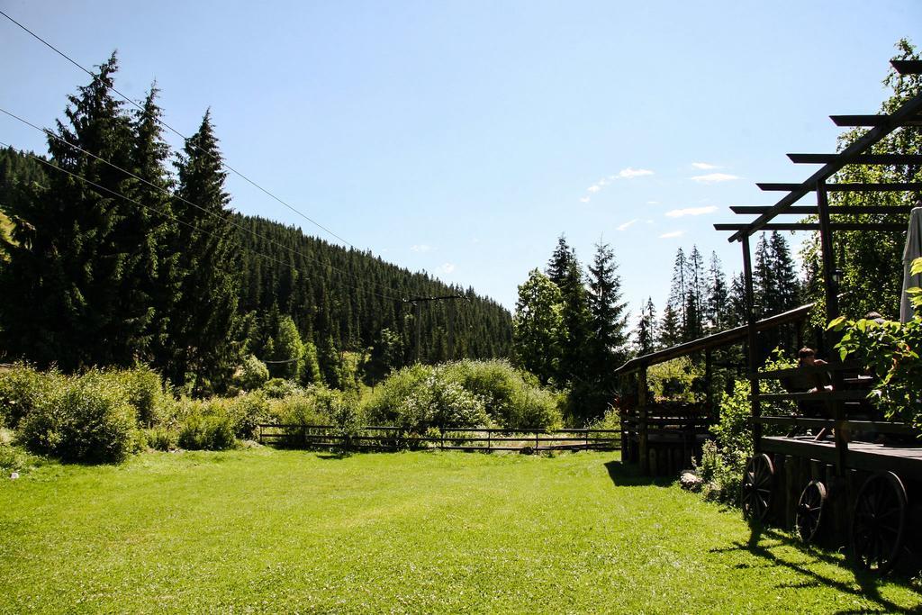 Pensiunea Casa Noastra Arieşeni Buitenkant foto
